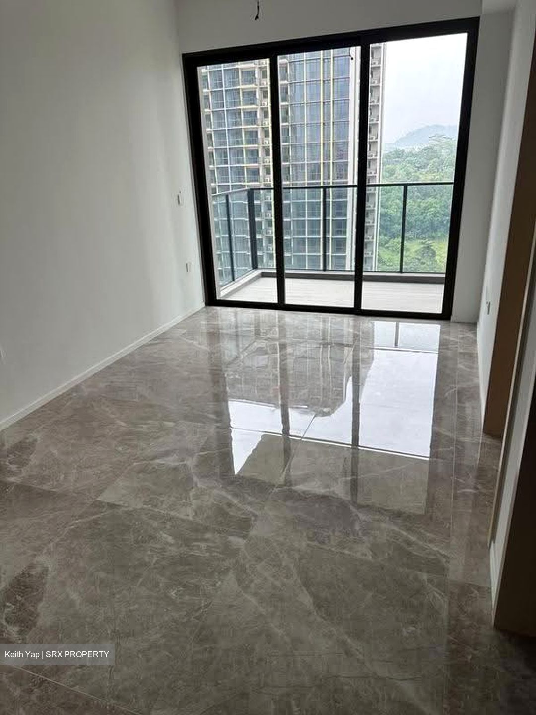 Pinetree Hill (D21), Condominium #635529701